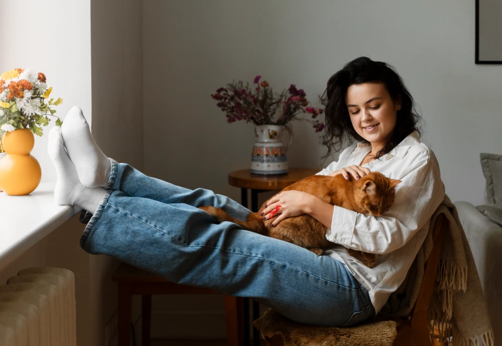 best pet cameras for cats