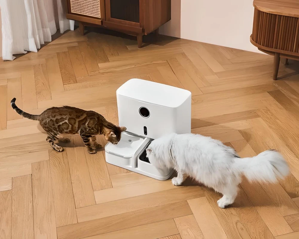 top pets automatic pet feeder