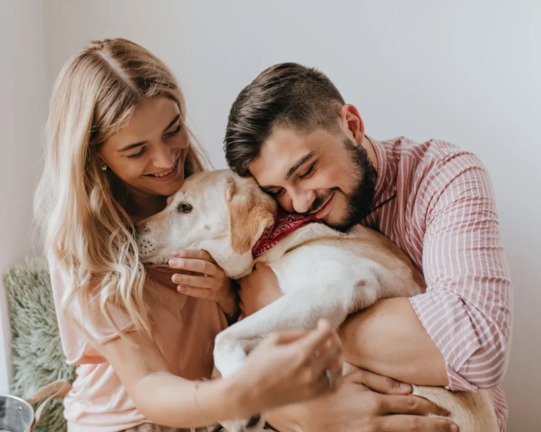 automatic pet feeder for 2 cats
